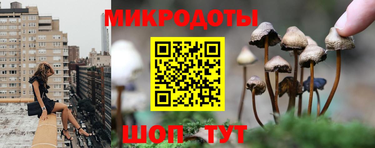 Псилоцибиновые грибы Psilocybe  Вход с VPN  Галлюциногенные грибы мицелий  Саки 